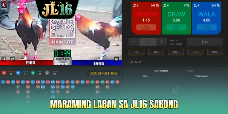 Maraming laban sa JL16 sabong