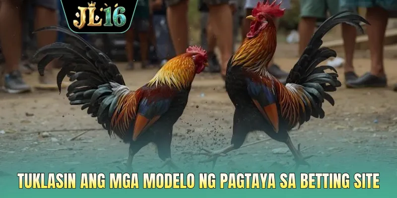 Tuklasin ang mga modelo ng pagtaya sa betting site